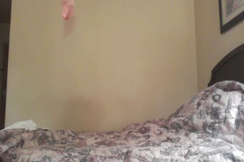 This lad Wanted Me To Wear His Girlfriends pants And Bra while I Sucked His large schlong. I Gladly Accepted The suggest. that man too Wore A Pair Of 