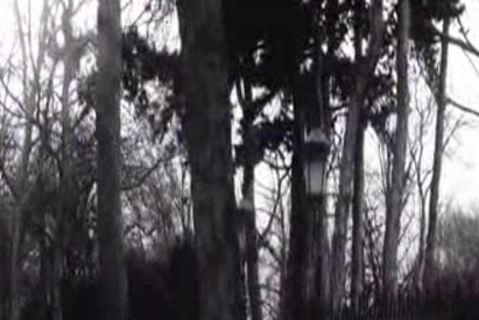 Juan Et So N Pote Se Tapent Un Cul Berlin bunch 3some