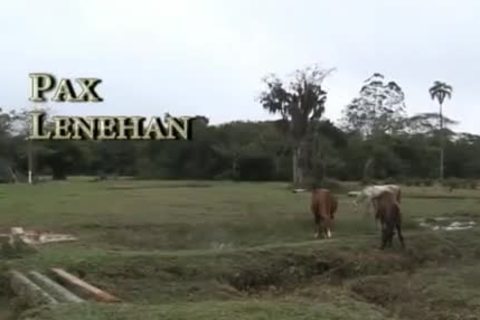 bare Riding