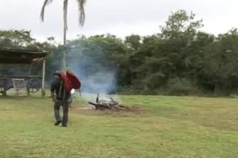Brazilian Horsemeat