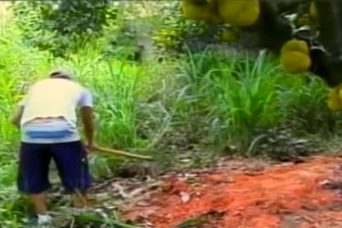 gay Outdoor chocolate hole enjoyment