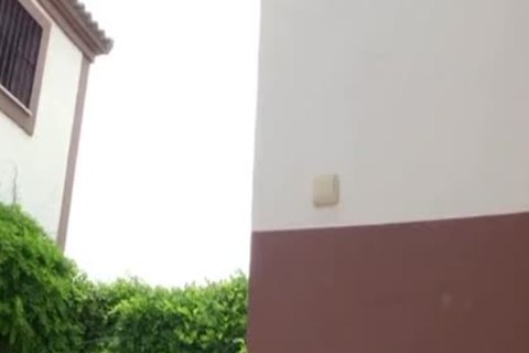 Street View homosexual