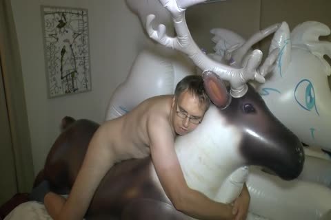 My Roomie At EF Did Borrow Me His Squeaky Reindder For Some pleasure. I Love The Shape And Size, it is Such A admirable Ride.