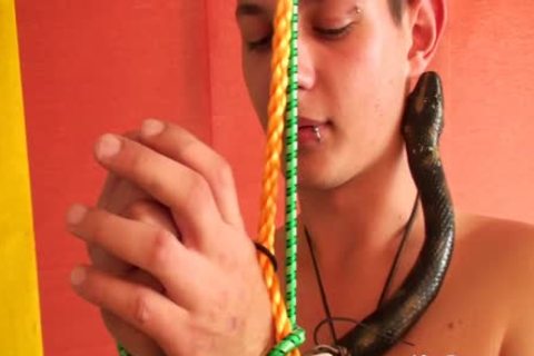 This legal age teenager Masturbates With A False Snake