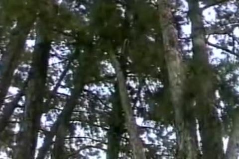 Two studs Have filthy Outdoor Sex