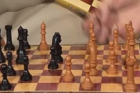 Game Of Chess And weenies