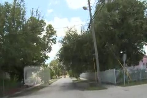 black guys Share Whitey