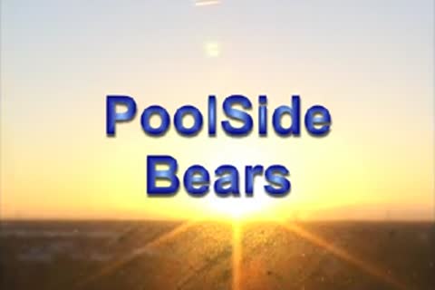Poolside Bears