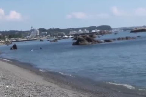 gay oriental teen acquires oral