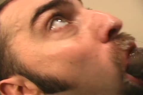 pull out Your penis And Start Jacking If u Love Watching penis Worshiping penis-suckers Doing What they like. Compilation Of gracious Horned Up Sucker
