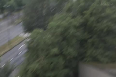 once every Year A giant Firework Takes put in Cologne. Ben's Apartment Has A Great View Over The whole Spectacle So that chap Regularly Invites Some f