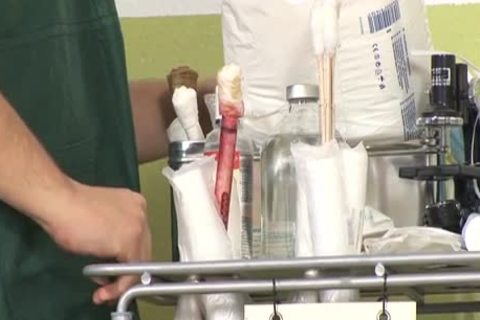 clips Brand Say & Franky lad