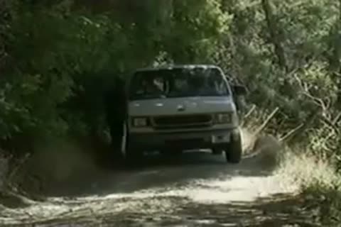 Hitchhiker    -  Nial