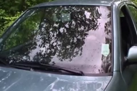 Nailed twink Face Sprayed