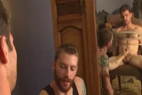 Atticus Www.blogmaxegatos.co