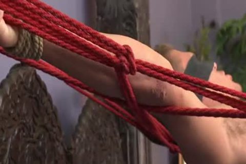 bound And Edged