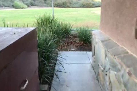 This cocksucker really Worked Hard At His Second Feeding. it is A good Thing We Locked The Door 'cause someone Tried To Open It At 6:08. For The Impat