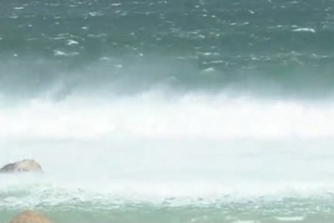 excitement In Action.. Marcel Gassion & Kevin Warhol