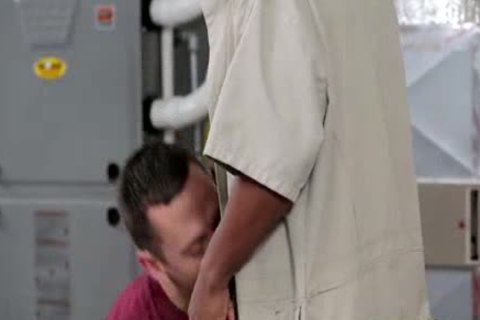 Pack It greater quantity astonishing