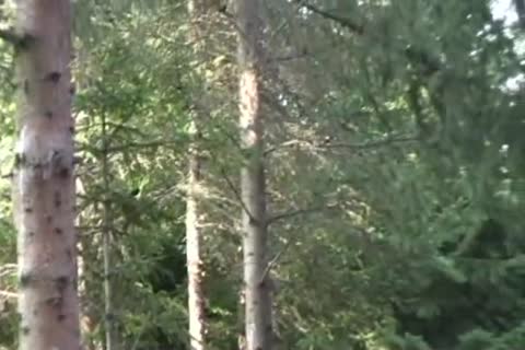 Skater Hoy boyz In Nature