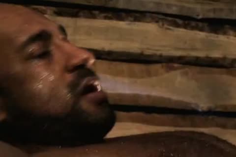 Fucks in the ass compilation