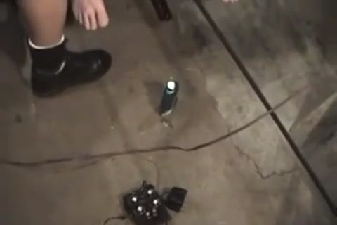 Cody Foster And master Bondi three