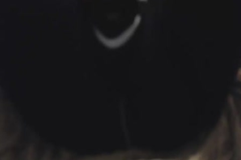 Back With more ass Ecstasy Delights Here In This Series From My Holiday Play Sessions Where I truly Worked My gap On one more Level, Maxing Out With S