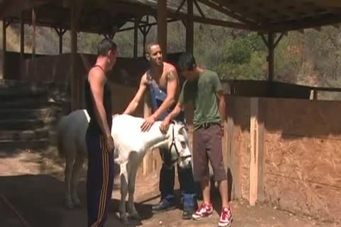 Farmer Sex