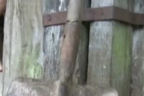 juicy Latino homo unprotected ass hammering Scene