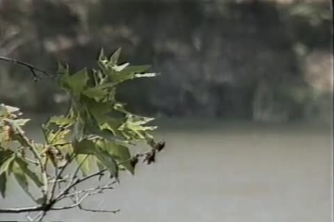 Ranger In The filthy Part1