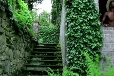 dark & White