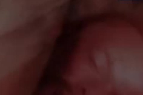 Christopher Daniels And Felix Barca plow