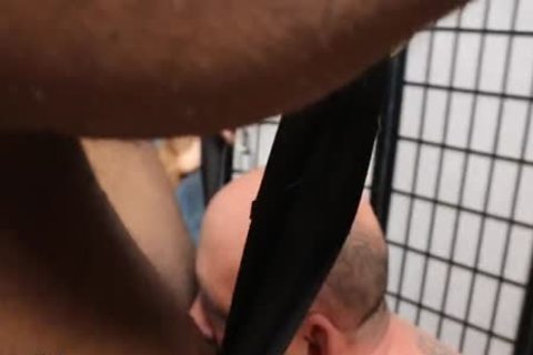 Sling Daddy