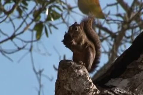 Two muscular boyz Have arse stab On The Beach
