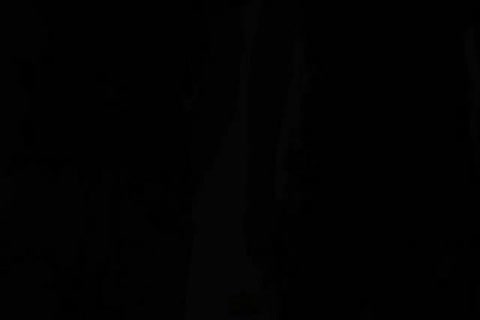 Muscle Hunks Explore Each Other