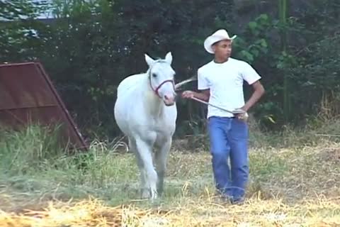 This seems Fancy The best Place To Do The Horizontal Bop