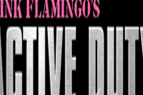 he is About To Stump-broke That Behind aperture in nature's garb