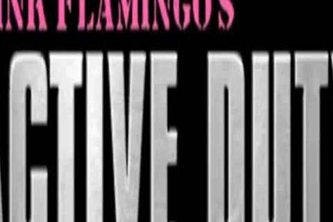 I Think Scuff Is Time For Him To suck On tasty