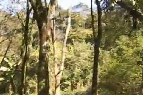 Capoeira 14 - Scene three