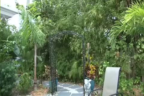 gulp My Seed - Scene three