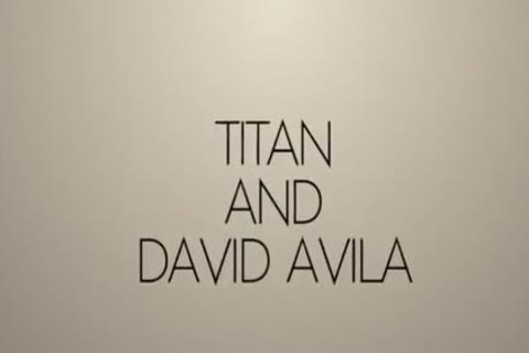 TDA213