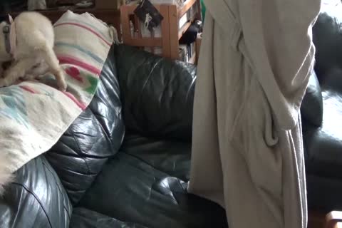 Friday Night wank 4-29-16