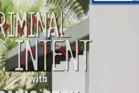 Criminal Intent: Dario Beck & Leo