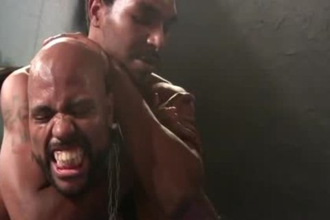 wicked studs enjoy sadomasochism