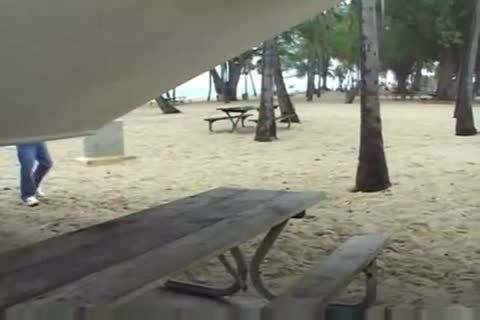 every Poolboys Dream