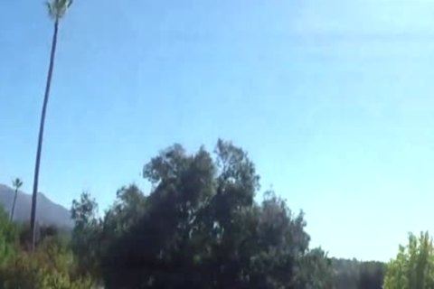 Caught Convict Spunks