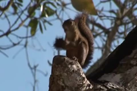 Hunk Latino homosexual males Intimate Outdoor Sex