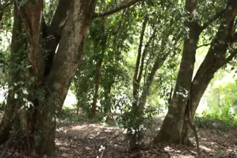 Freaky Outdoor Sex