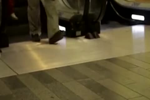 travel Agent gets Some wang