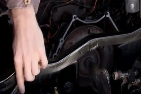 Not My Uncle bonks Me